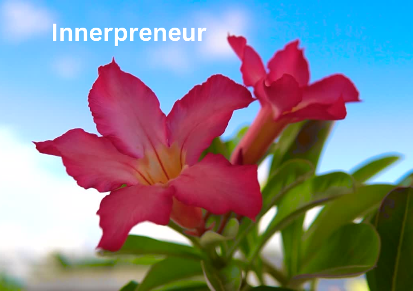 innerpreneur