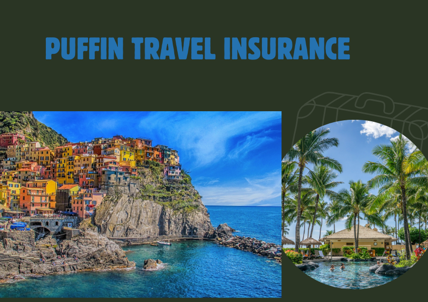 puffin travel insurance