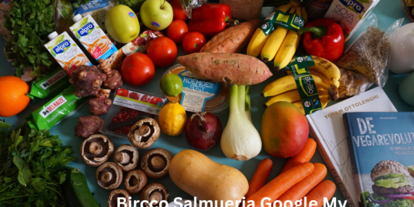 bircco salmueria google my business​